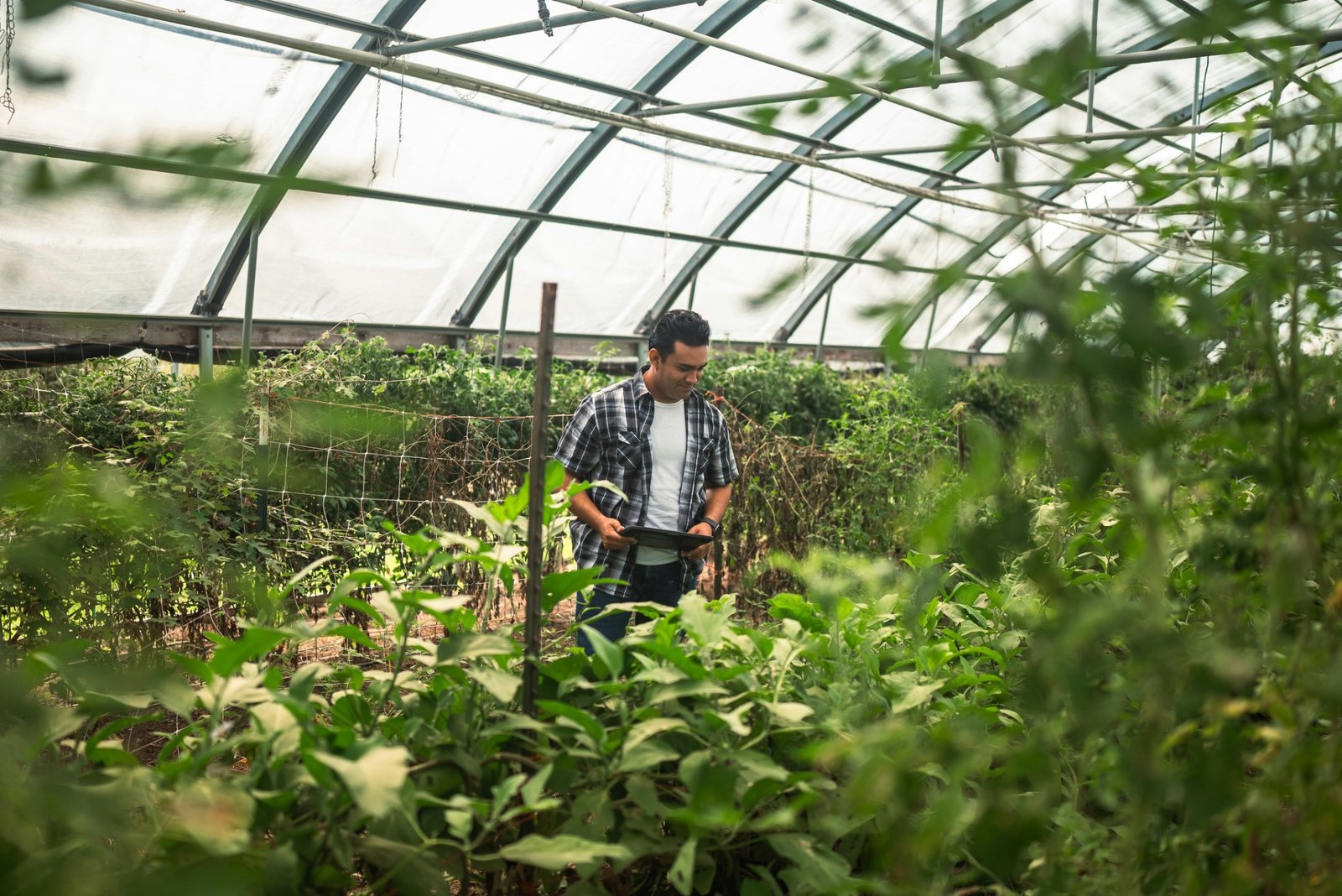 Agri-Food Industry